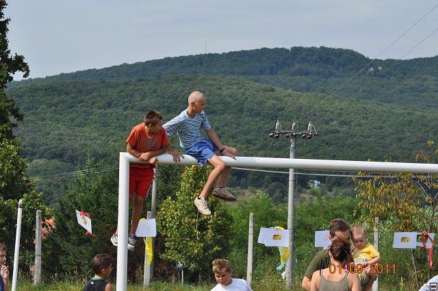 img00016.jpg