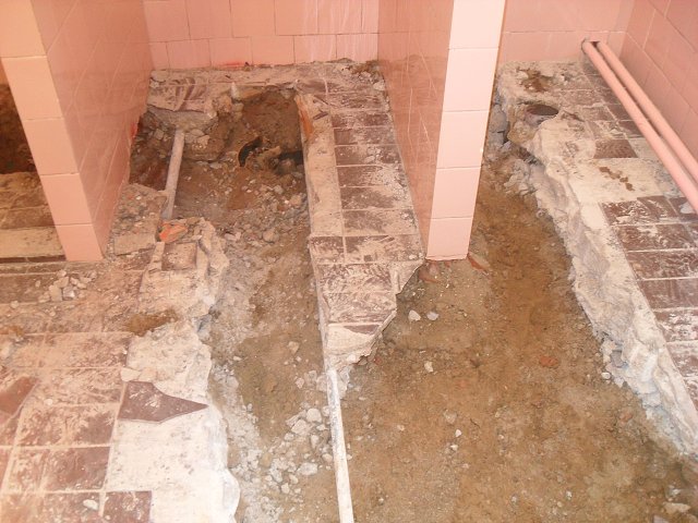 img00007.jpg