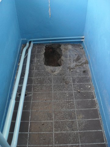 img00010.jpg