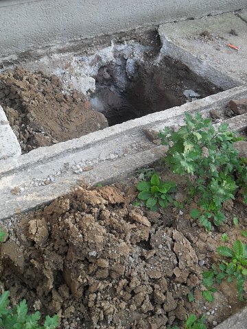 img00011.jpg