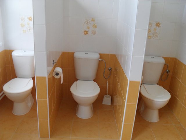 img00037.jpg