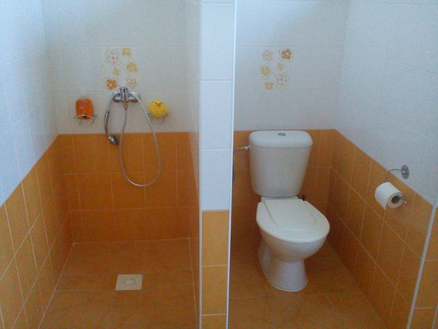 img00043.jpg