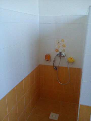 img00045.jpg