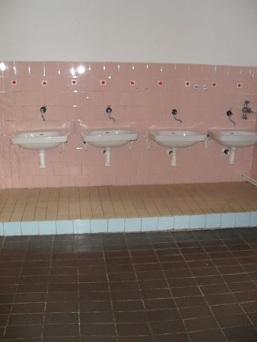 img00052.jpg